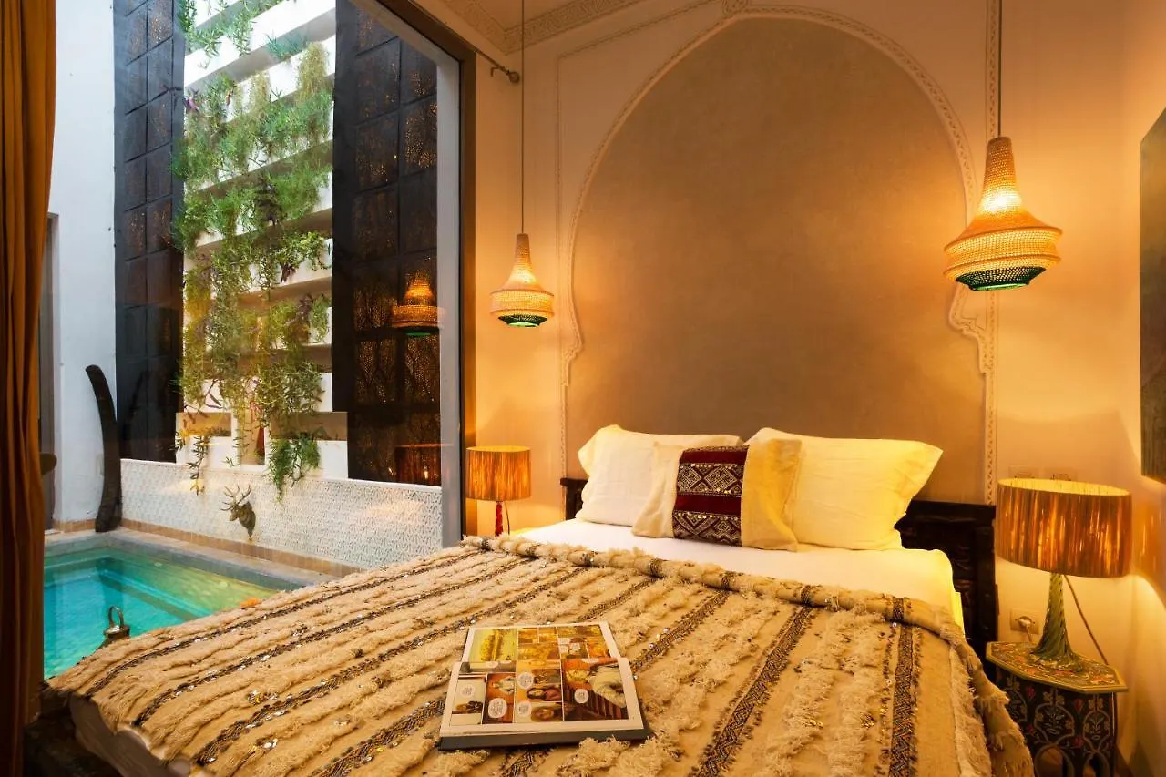 Riad Lumiere contacts